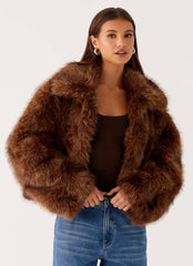 Miccy Cropped Faux Fur Coat - Chocolate